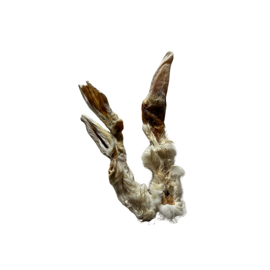 Kaninchenohr mit Fell