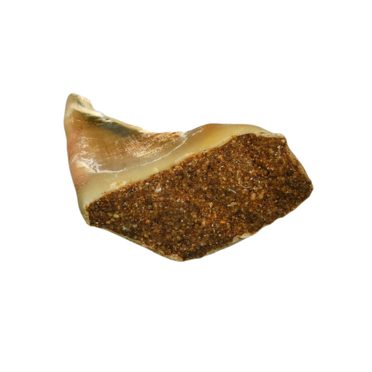 Mit Fleisch gefüllter Huf