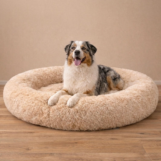 Panier Anti-Stress Pour Chien